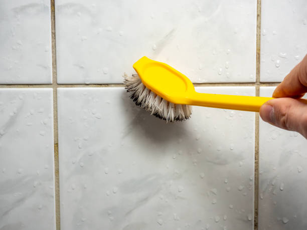 Best Fast Mold Removal  in Monroe, IA