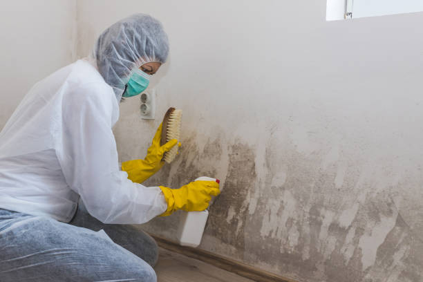Crawl Space Mold Removal in Monroe, IA